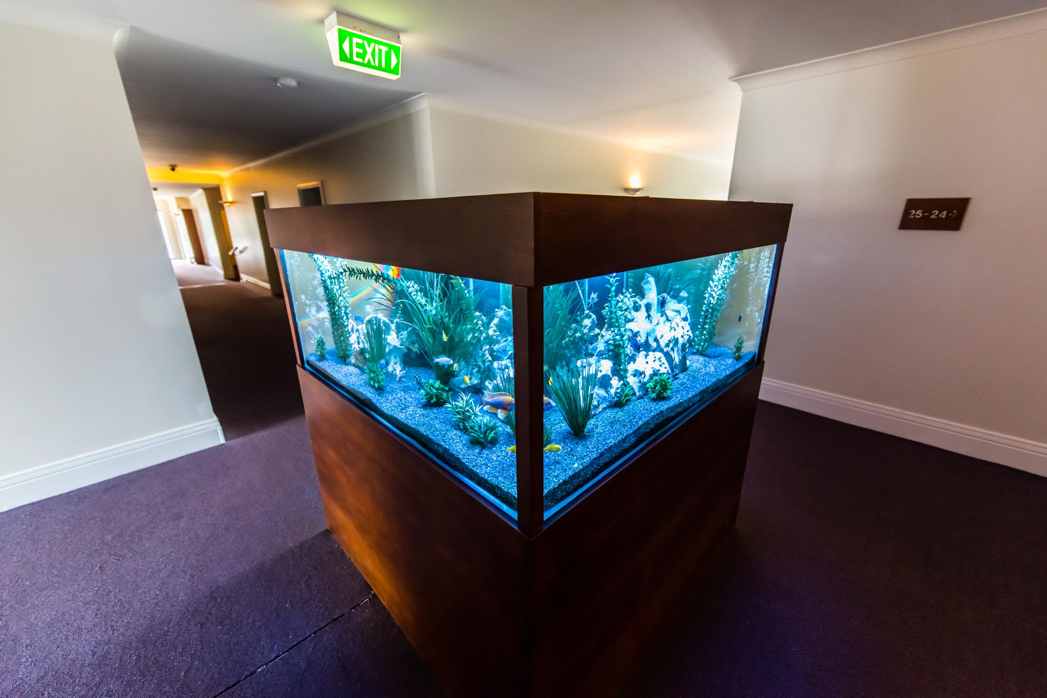 Century Inn Traralgon | Restaurant, Bar, Rooms in Victoria | Gallery